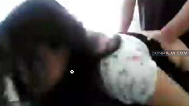 morrita colegiala cogida de perrito como a ella le encanta pero le duele