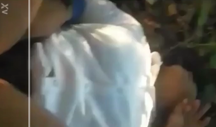 cogiendo a la morrita de prepa en medio de las hierbas