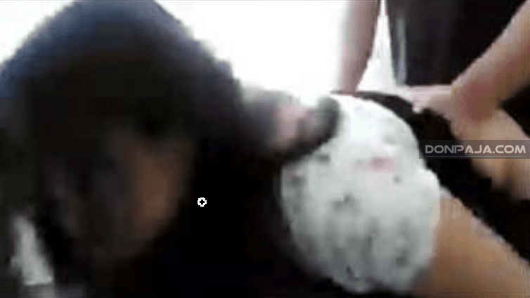 morrita colegiala cogida de perrito como a ella le encanta pero le duele