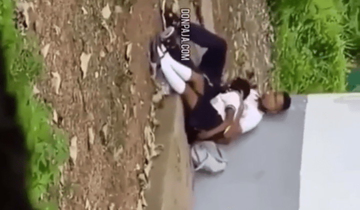 graban a morrita colegiala atras de los salones chupandosela a uno de sus amigos